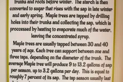 sugar_shack_maple_syrup-scaled