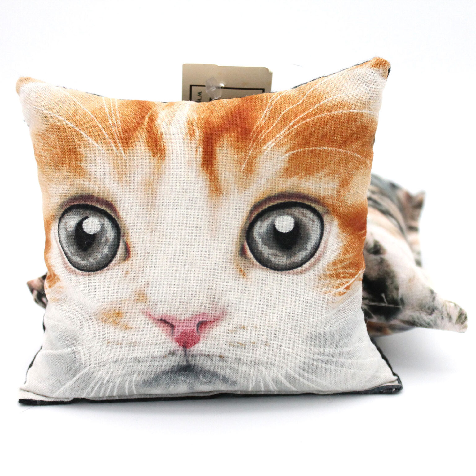 cat couch pillows